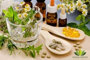 Las 15 mejores plantas medicinales, efectos y contraindicaciones