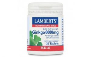 Lamberts Ginkgo Biloba 6000mg (30 comp.)
