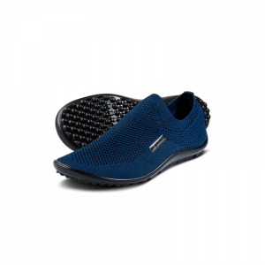 Leguano Scio `azul´