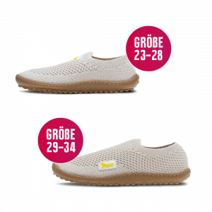 Leguanito Scio arena